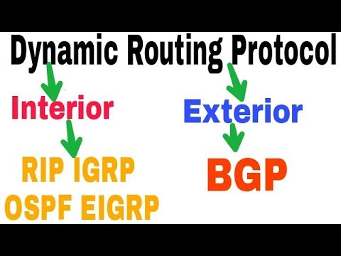 types of dynamic routing